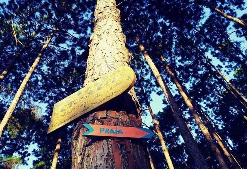 Пансион Moçamba Lodge Contêiner