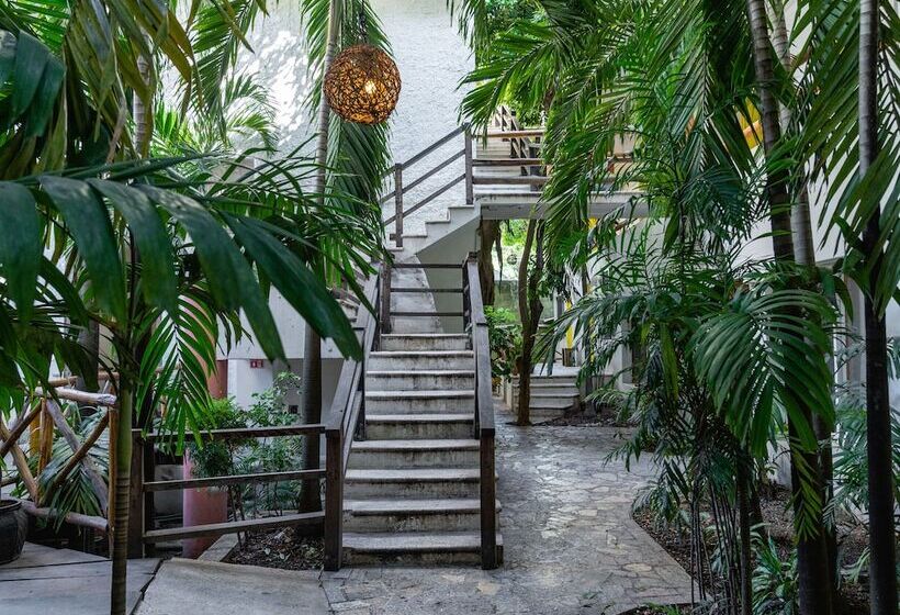 بنسيون Rustik Inn