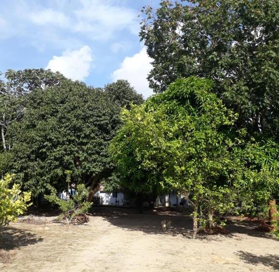 ペンション Sitio Santo Antonio