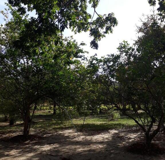 ペンション Sitio Santo Antonio