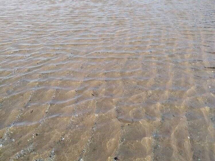 ペンション Sorot House