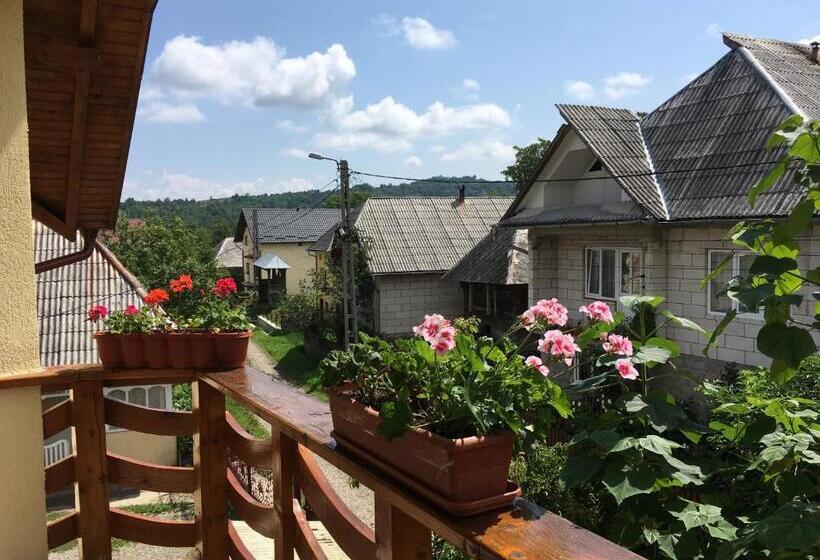 펜션 Sub Creasta Cocosului