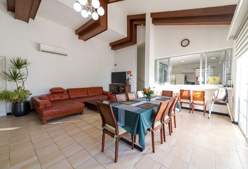 膳宿费 Summer Stay