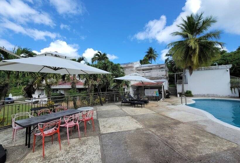 膳宿费 Summer Stay