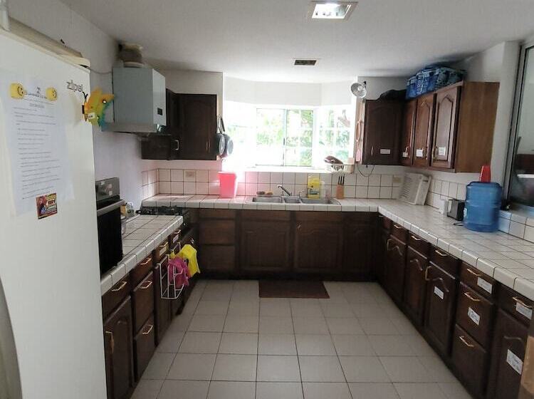 膳宿费 Summer Stay