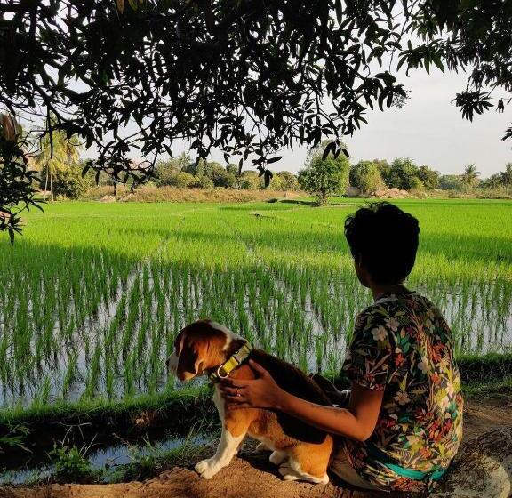 פנסיון Sunrise Guest House & Restaurant