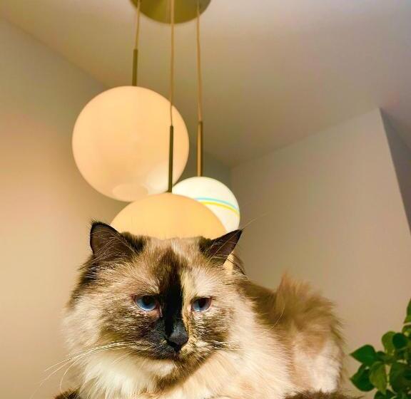 פנסיון The Waltham Private Room & Bathroom Jfk Lga 10min I 20min Manhattanpenn Station Bullet Train