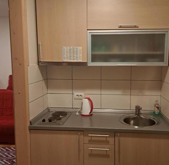 پانسیون Vila Danica