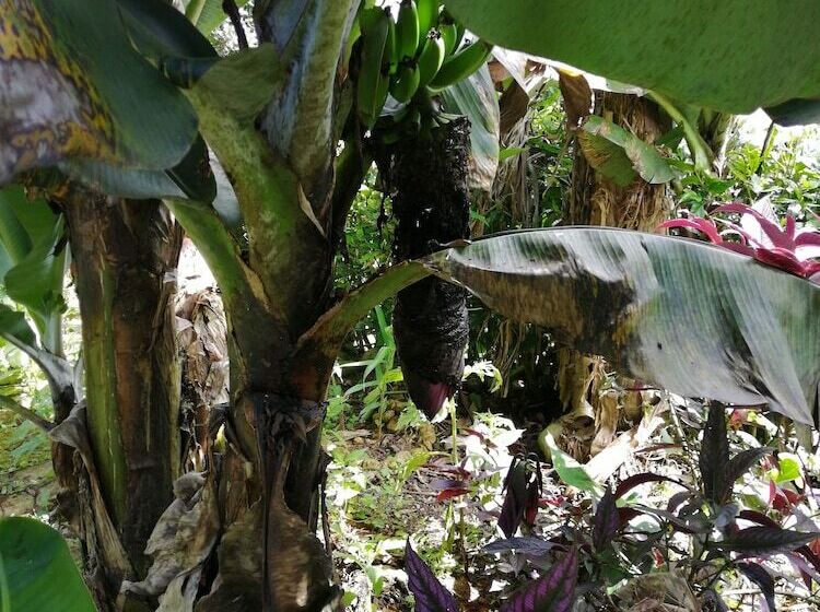 بنسيون Vista Valverde Pacific View Rentals