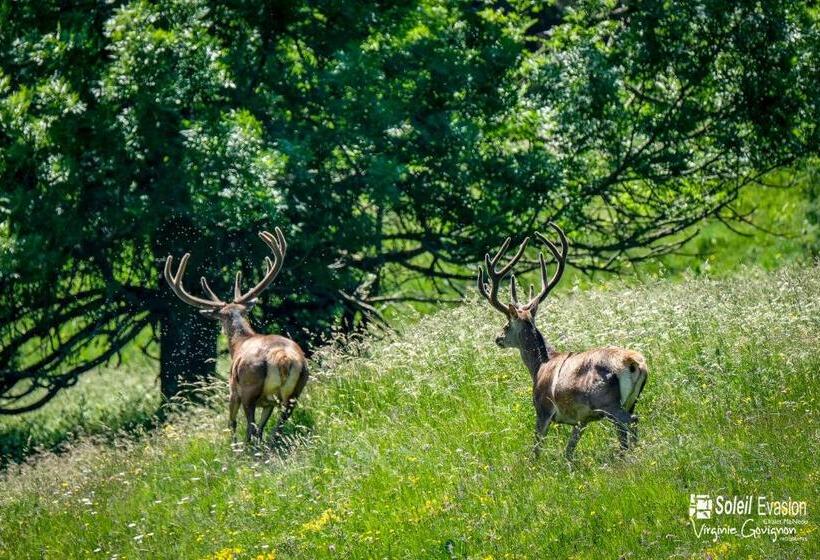 אתר נופש Chalet Ma Neou Centre De Vacances
