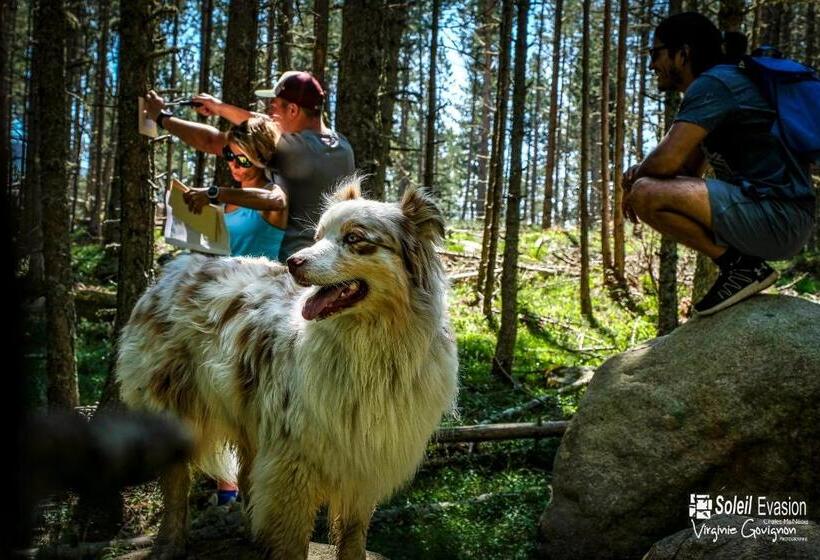 אתר נופש Chalet Ma Neou Centre De Vacances