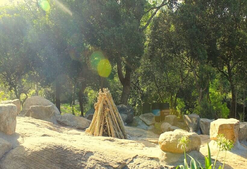 リゾートホテル The Last Shola