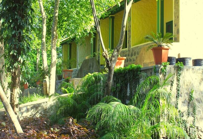 リゾートホテル The Last Shola