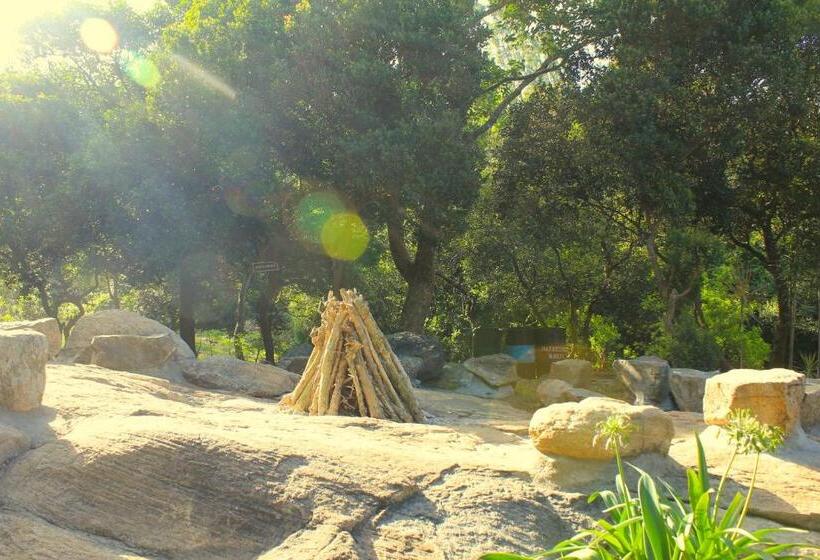 אתר נופש The Last Shola