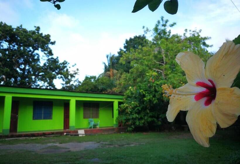 ユースホステル Cabinas Rhode Island