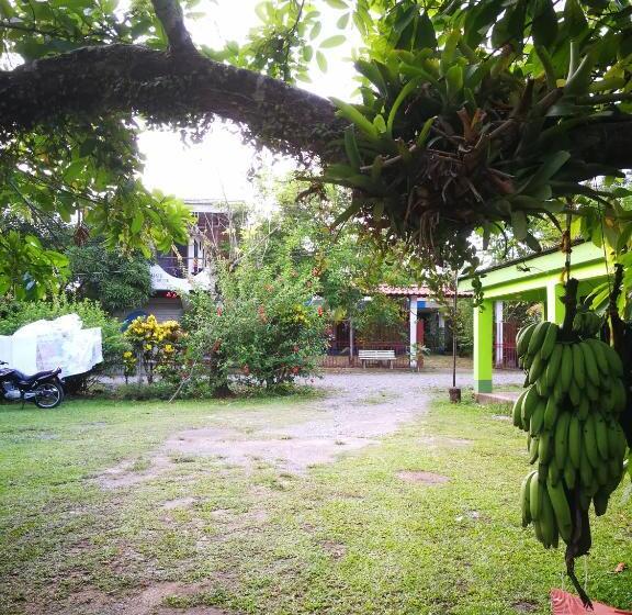 ユースホステル Cabinas Rhode Island