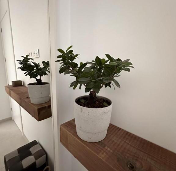 فندق صغير Papá Totë Deluxe