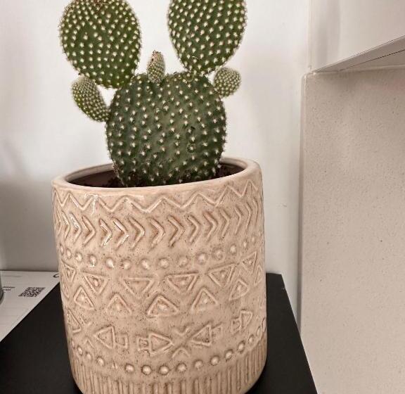 فندق صغير Papá Totë Deluxe