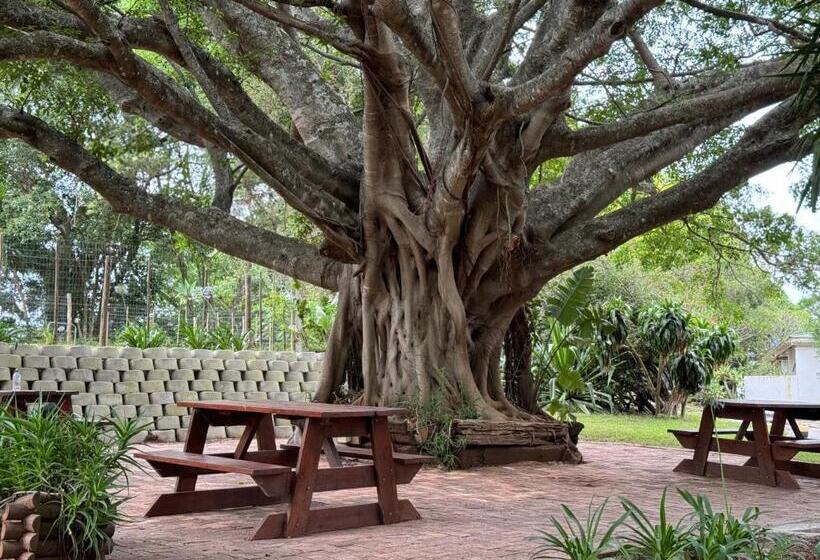 הוסטל Summerhill Inn