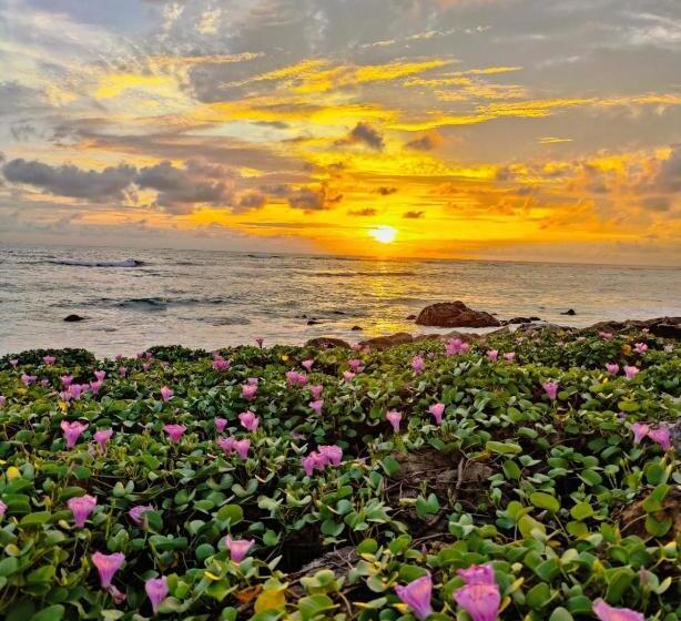 ベッドアンドブレックファースト All Day Ahangama