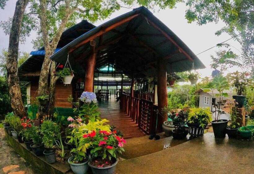 צימר Aybish Resort