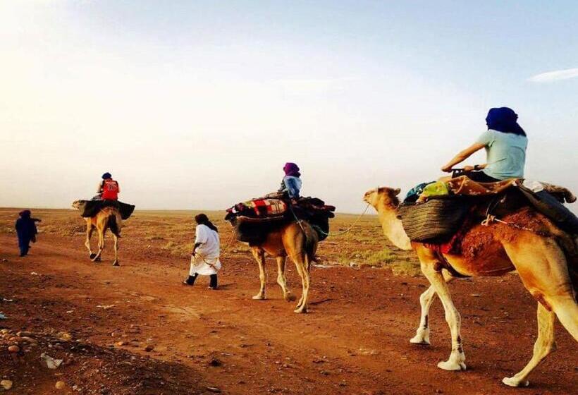 민박 Camp Iguidi Tours