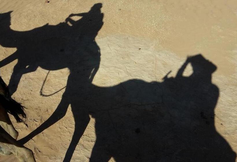 민박 Camp Iguidi Tours