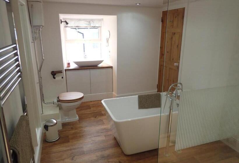 צימר Dol Llan Mansion