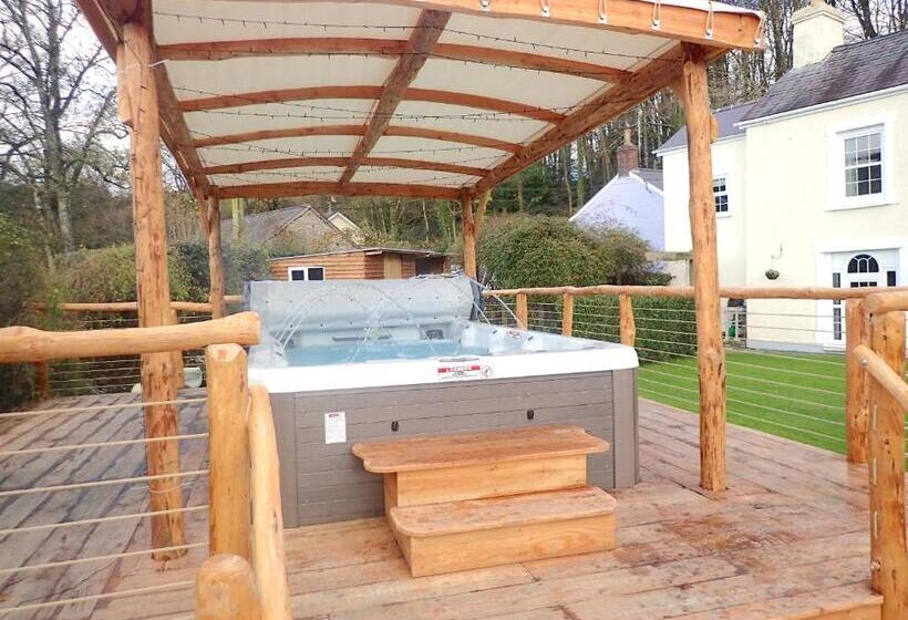 צימר Dol Llan Mansion