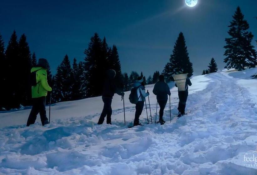 Bed And Breakfast Eckele