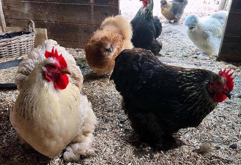 住宿加早餐 Het Blij Hen