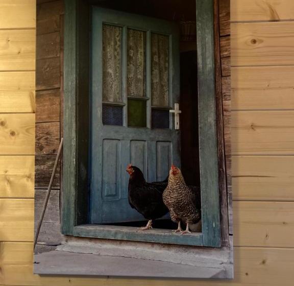 住宿加早餐 Het Blij Hen