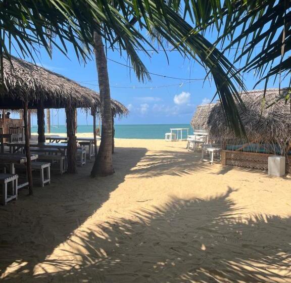 住宿加早餐  Hostal Kite Kalpitiya