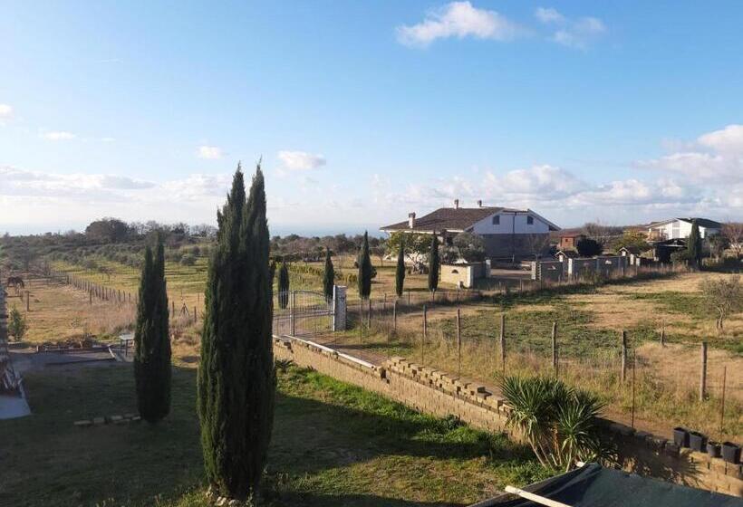 ベッドアンドブレックファースト Mario S Home