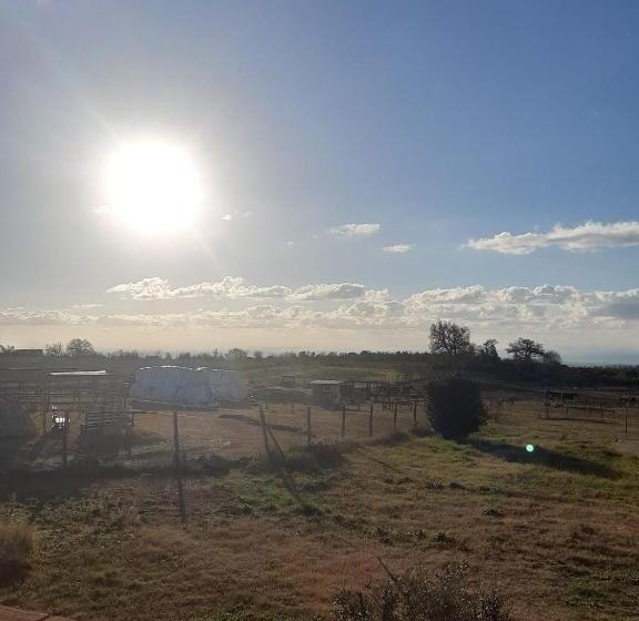 ベッドアンドブレックファースト Mario S Home