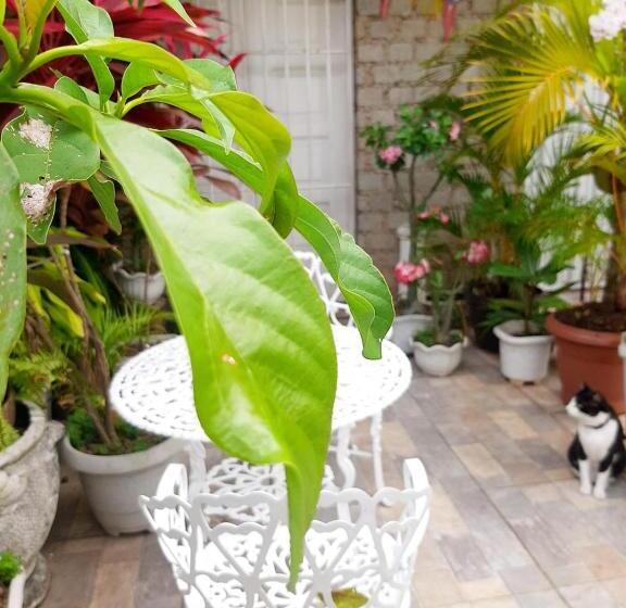 تختخواب و صبحانه Quartos Aconchegantes Prox Pelourinho, Metrô E Arena F Nova