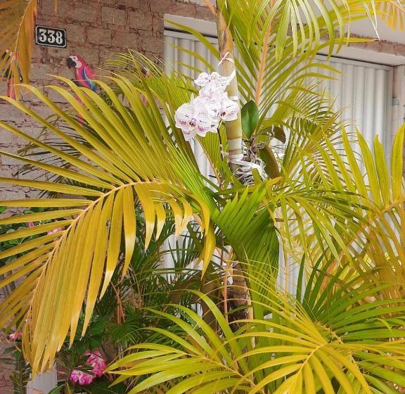 ベッドアンドブレックファースト Quartos Aconchegantes Prox Pelourinho, Metrô E Arena F Nova