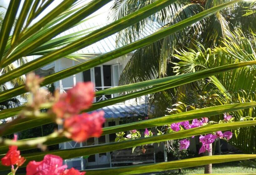 Bed and Breakfast Sea And Sand