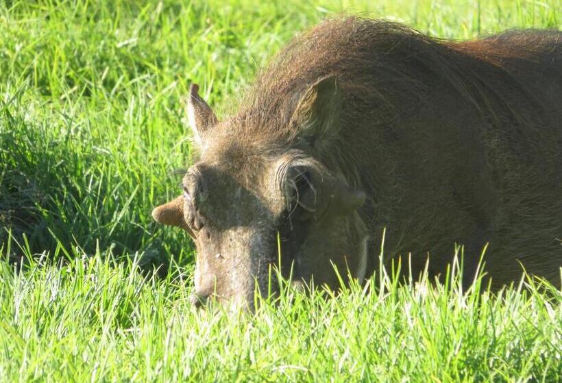 Cesarea Landgoed B&b