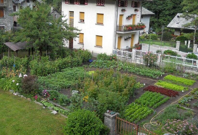 فندق Albergo Mologna