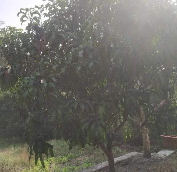 בית מלון כפרי Asmi Palace, Bhaimala, Alibag