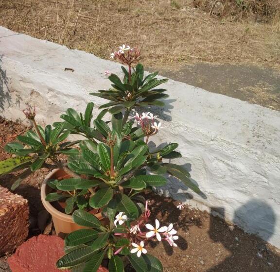 בית מלון כפרי Asmi Palace, Bhaimala, Alibag