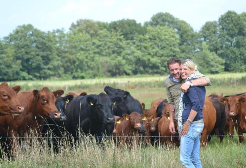 فندق Erve Woolderink