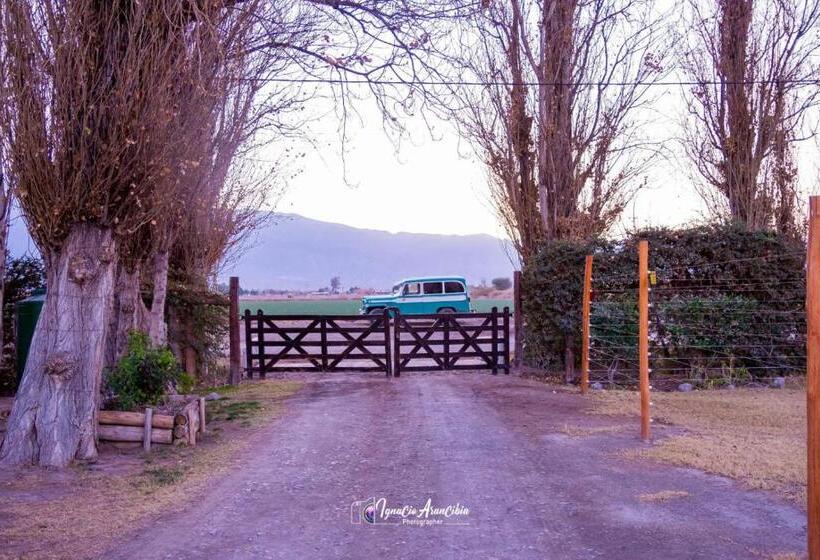 Отель Finca Los Olivos