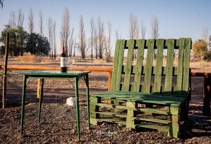 Отель Finca Los Olivos