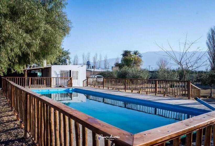 Отель Finca Los Olivos