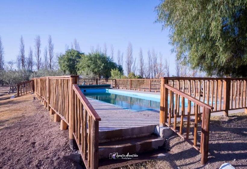 Отель Finca Los Olivos