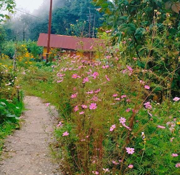 ホテル Jhandi Eco Heights