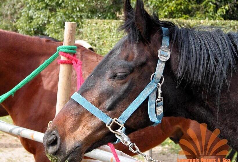 فندق Lumminis Resort & Spa