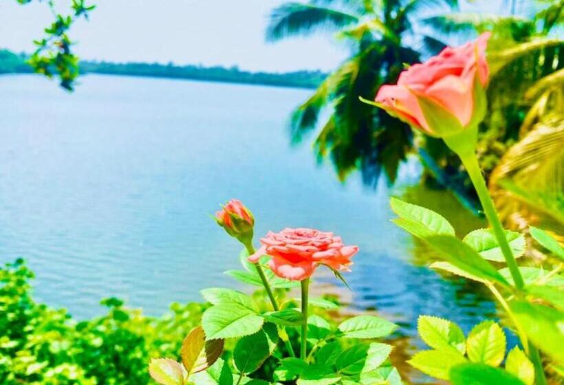 בית מלון כפרי New Heaven